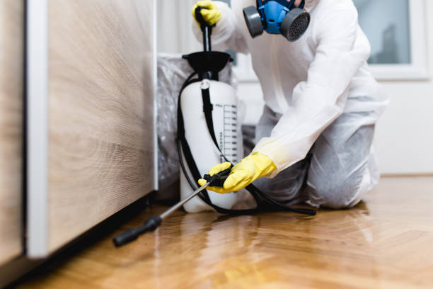 Best Commercial Pest Control Services  in Long Prairie, MN