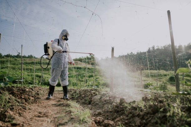 Best Pest Prevention Services  in Long Prairie, MN