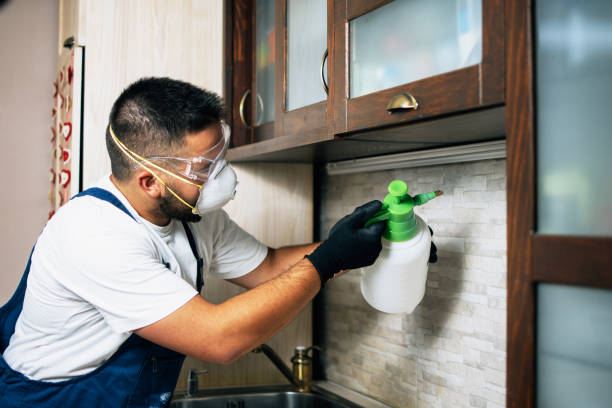 Best Cockroach Control Services  in Long Prairie, MN