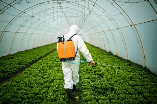 Best Local Pest Control Services  in Long Prairie, MN