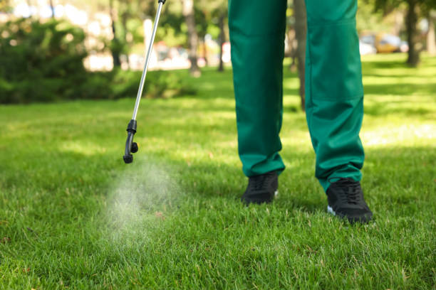 Wasp Removal Services in Long Prairie, MN