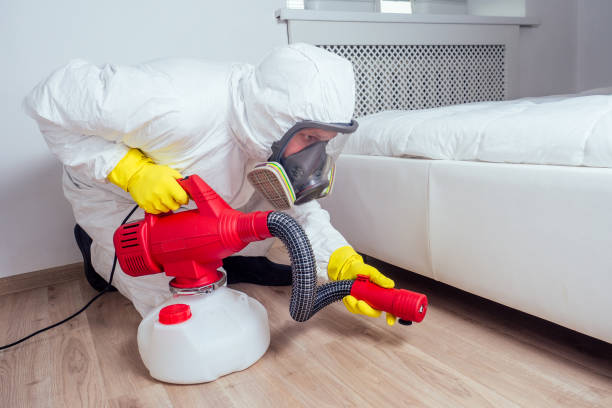 Best Pest Removal Services  in Long Prairie, MN