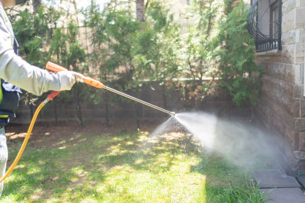 Best Spider Control Near Me  in Long Prairie, MN
