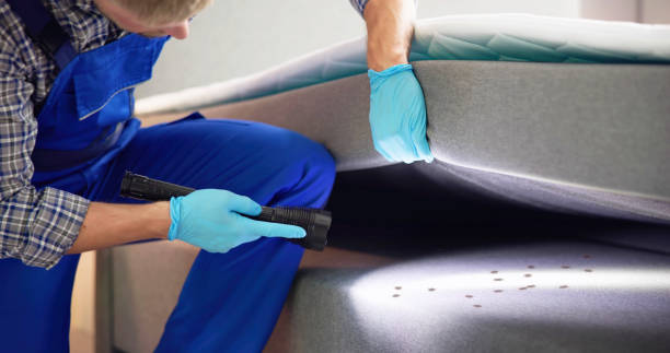 Best Mosquito Control Services  in Long Prairie, MN