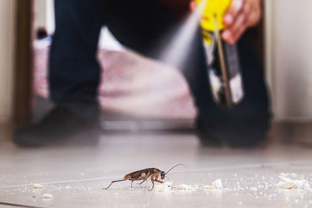 Reliable Long Prairie, MN Pest Control Solutions