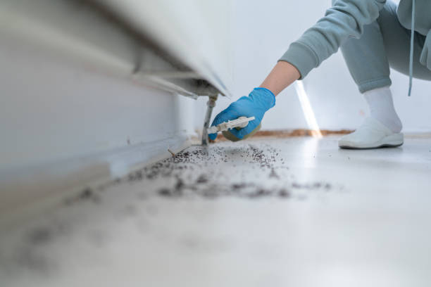 Best Wildlife Control Services  in Long Prairie, MN