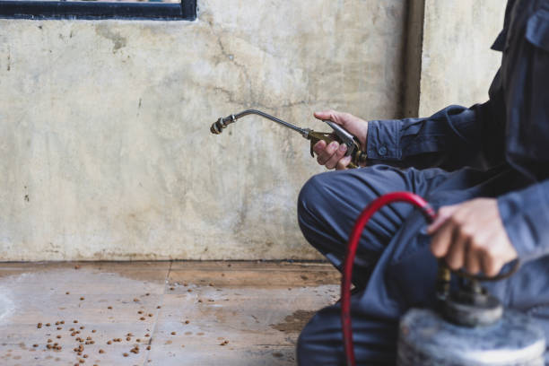 Best Pest Control for Businesses  in Long Prairie, MN