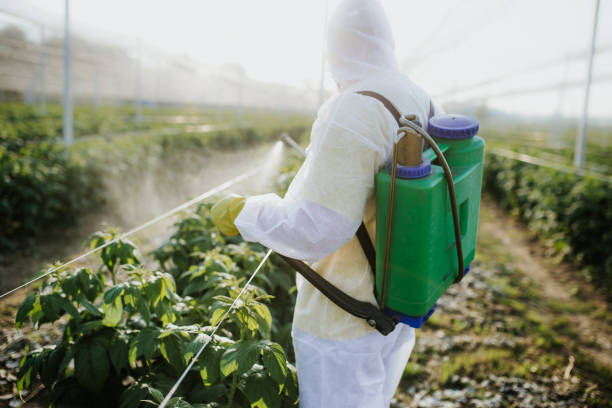 Best Affordable Pest Control Services  in Long Prairie, MN